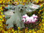 pascale1212