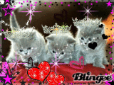 Chaton