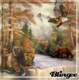 Nature Scene Nature Scene