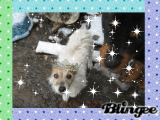 linny and benny boy