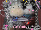 Car Cuties!