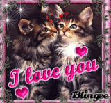 I love you