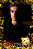 stefan in fall
