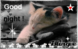 Good Night !