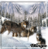 Wolves in Winter Wolves in Winter