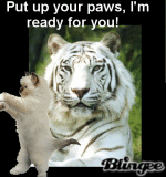 I'm Ready for You!