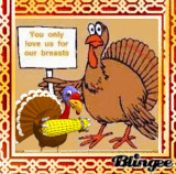 HAPPY THANKSGIVING