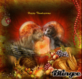 thanksgiving cats thanksgiving cats