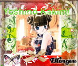Yoshino Kakimi