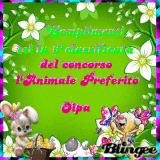 premio 3°classificata Oipa