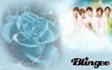 TVXQ
