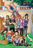 le gang de luffy 