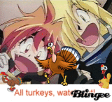 Happy Thanksgiving