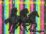 freisian breeder