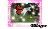 pretty unicorn butterfly thing