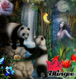 Wild Nature Wild Nature