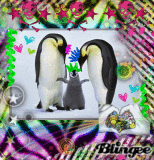 Penguin Family