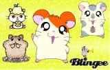 The Hamsters