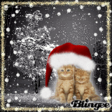 merry christmas..