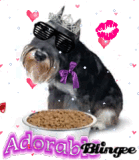 adorable perro