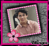 miss-jonas-brothers