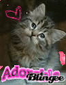 Chaton