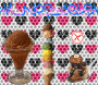<<χ_иøı_¢&L!α¢!>>