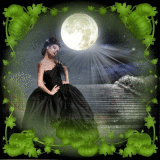 The Night of The Aurora Borealis