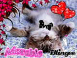 Chaton trop Mimi