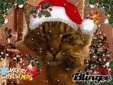 Santa Woosy
