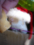 trop mignion!!!!!