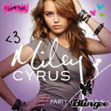 new single of 2009 party in the usa