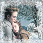 Merry Christmas by Twilight