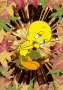 Tweety