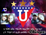Mis Amores