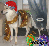 joyeux noel