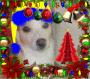 Romeo's xmas