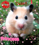 hamster.cute