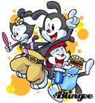 Wakkowarner