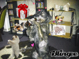 Tiere