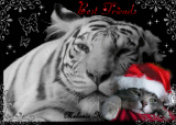 Best Friends Tiger