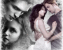 Twilight4Ever0