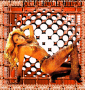 Shakira in Orange [PeR Ki AmA La MuSiCa]