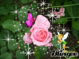 Alles Liebe Alles Liebe