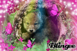 wolfpup