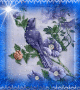 Silver-blue bird