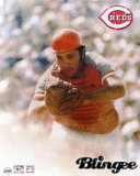 Johnny Bench