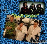 "CLUB DOGO"