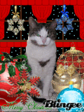 Weihnachten Weihnachten