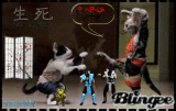 ☺©Ninja Kitty®☺